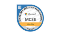 MCSE Logo PMI